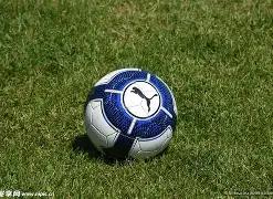 瓜迪奥拉赛,后怒目相对,摄影师,尊龙凯时,尊龙凯时中国官网