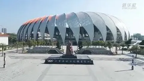 《金特罗兄弟体检通关，阿森纳提前锁定未来巨星！》