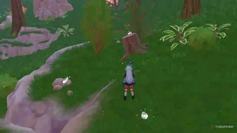 荷乙赛事分析：赫尔蒙德VS坎布尔比分预测