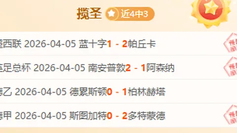 沙尔克04主场优势分析：期号专家推荐质合前区十码